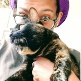 Hello there! If you are looking for a capable, honest, responsible and trustworthy Pet Sitter in Chicago well here I am:)