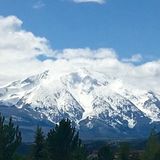 Exceptional house sitter available!