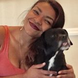 Flexible Housesitter available to water plants and walk pets