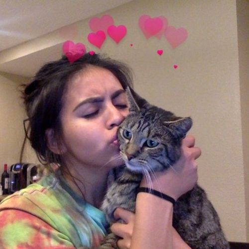 Pet Care Provider Sheila D's Profile Picture