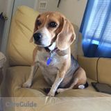 Responsible and caring pet sitter!