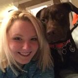 Seeking a Dog Trainer Job in New Waverly, Texas