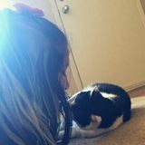 Need a fur-baby babysitter? I got what you're looking for!(;