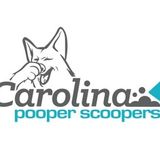 Give Your Pets The VIP Treatment With Our Pet Sitting & Dog Walking Services