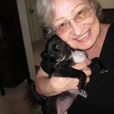 West Palm Beach, Companion provider, meals, light housekeeping. pet care. Love to help how ever I am able. I speak Hungarian.