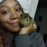 Teen Pet Sitter
