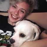 Looking to babysit for sweet kiddos!