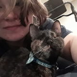 Etters Pet Sitter/Walker In Need Of New Opportunities.
