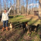 Id love to see your dog happy & healthy!