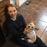 Experienced Babysitter Looking for Work in Elmsdale Area