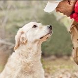 Experienced House/Pet Sitter