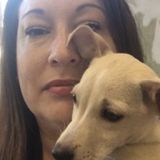 Delray Beach Pet CPR and First-Aid Certified, Dog Trainer, Dog Walker and Care Taker Available.