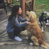 Skillful Dog Walker Available Immediately