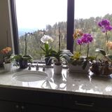 Caring House Cleaning Provider in Wheat Ridge