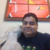 Bilingual OC House Sitting Service Provider / Feel calm and trusty while you travel!