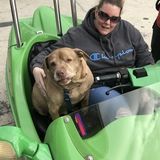 The Support You Need When You Need IT - Experienced Caregiver