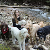 Seeking a Pet Care Provider Job in Waterloo.