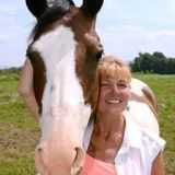 Available: Well Trained Pet Care Provider in Wayland, Michigan