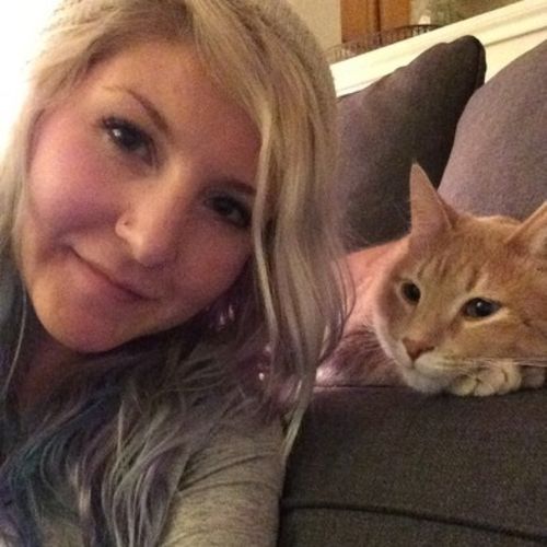 House Sitter Provider Misty D's Profile Picture