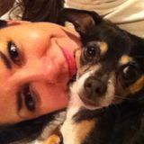 Searching for a Dog Walker Job in South Elgin