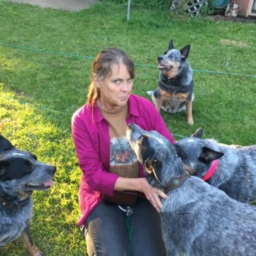 Pet Care Provider Marilyn S's Profile Picture