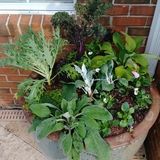Estate Gardener with Permacultural Leanings