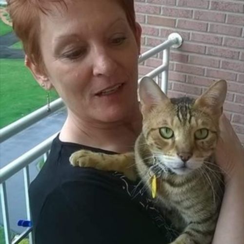 Pet Care Provider Cheryl P's Profile Picture