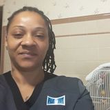 Available: Knowledgeable House Minder in Woonsocket, Rhode Island