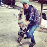 Flexible, Kind & Professional Dog Walker & Sitter here! I would love to walk your dog !