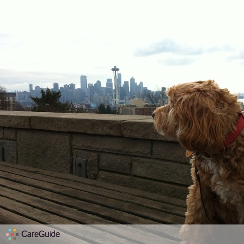 Pet Care Provider Ryan O's Profile Picture