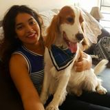 Fur-ever here to help out