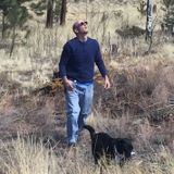 Pet And plant feeding Offered in Woodland Park