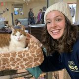 Levittown pet care provider & dog walker!