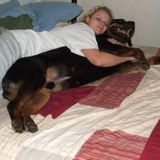 Niagara Falls Pet Service Provider Seeking Being Hired