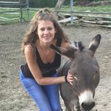 Barrington House, Plant, and Pet Sitter Looking For Being Hired in IllinoisVeterinary experience!