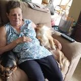 I am the modt loveable petsitter you will fine