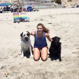 Experienced Dog Sitter and Walker, Love Dogs!