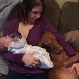 Babysitter and Petsitter