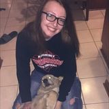 Excellent Pet Sitter Available Now
