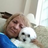 Lenoir Pet Trainer Looking For Job Opportunities in North Carolina