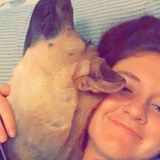 Loving pet service provider for you and your fur-babies