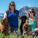 We care for your pets, in your home. Pet Au Pairs is licenced, bonded and Insured!