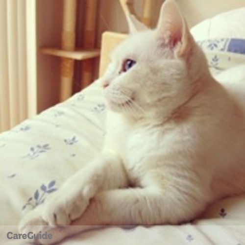Pet Care Provider Nicole Kay's Profile Picture