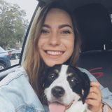 Martinez Dog-Walker