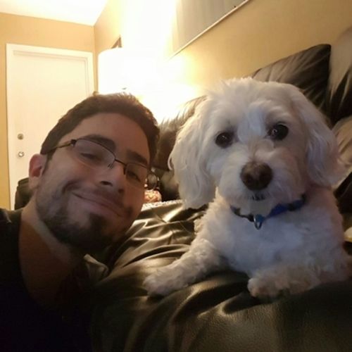 Pet Care Provider Jason O's Profile Picture