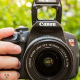 Affordable, reliable photographer available!