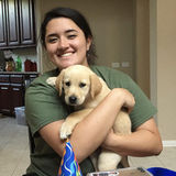 Hi! I'm Delaney, I'm a college student and animal lover. I'm offering to provide my time and devotion to your animals!