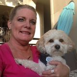 For Hire: Pet Sitting Professional in Arlington, Texas