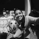 Amaizing dog walker and pet care