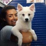 Active, Trustworthy, Fur Baby Lover